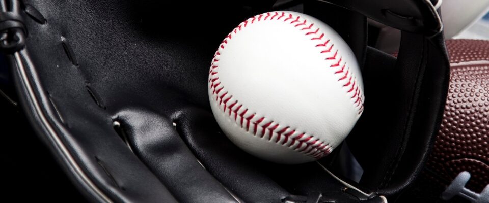 Sports Management | Drew University Bear Den